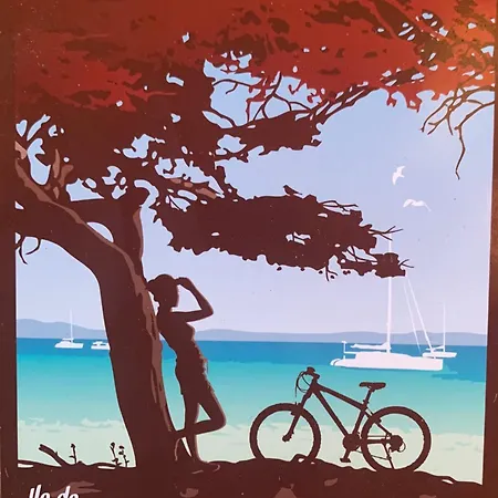 Voilier A Porquerolles Hyères